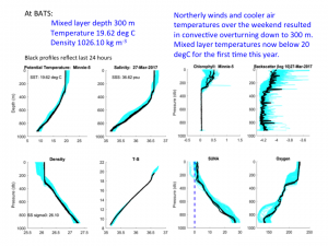 Water column profiles from BATS