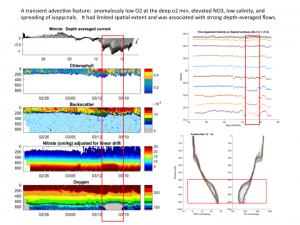 A transient and extreme deep oxygen minimum zone