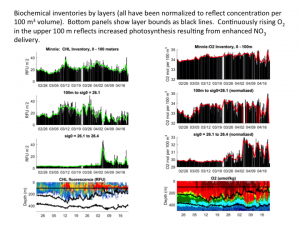 Chlorophyll and dissolved oxygen inventories at BATS