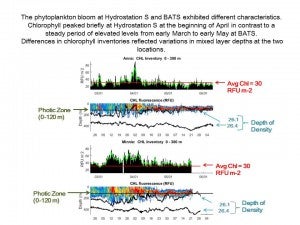 Chlorophyll inventories