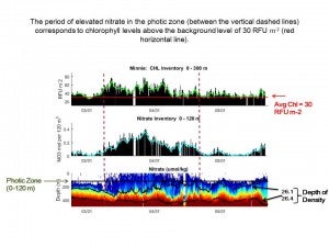 Nitrate and chlorophyll inventories